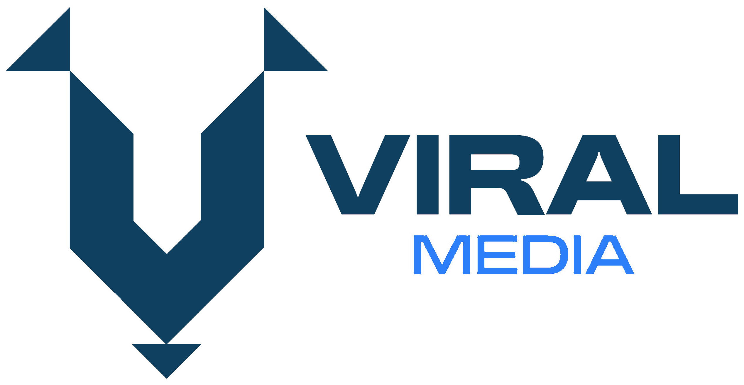 VIRAL MEDIA